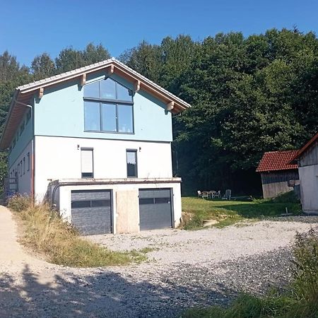Fewo Wiesenblick Waldmünchen Esterno foto