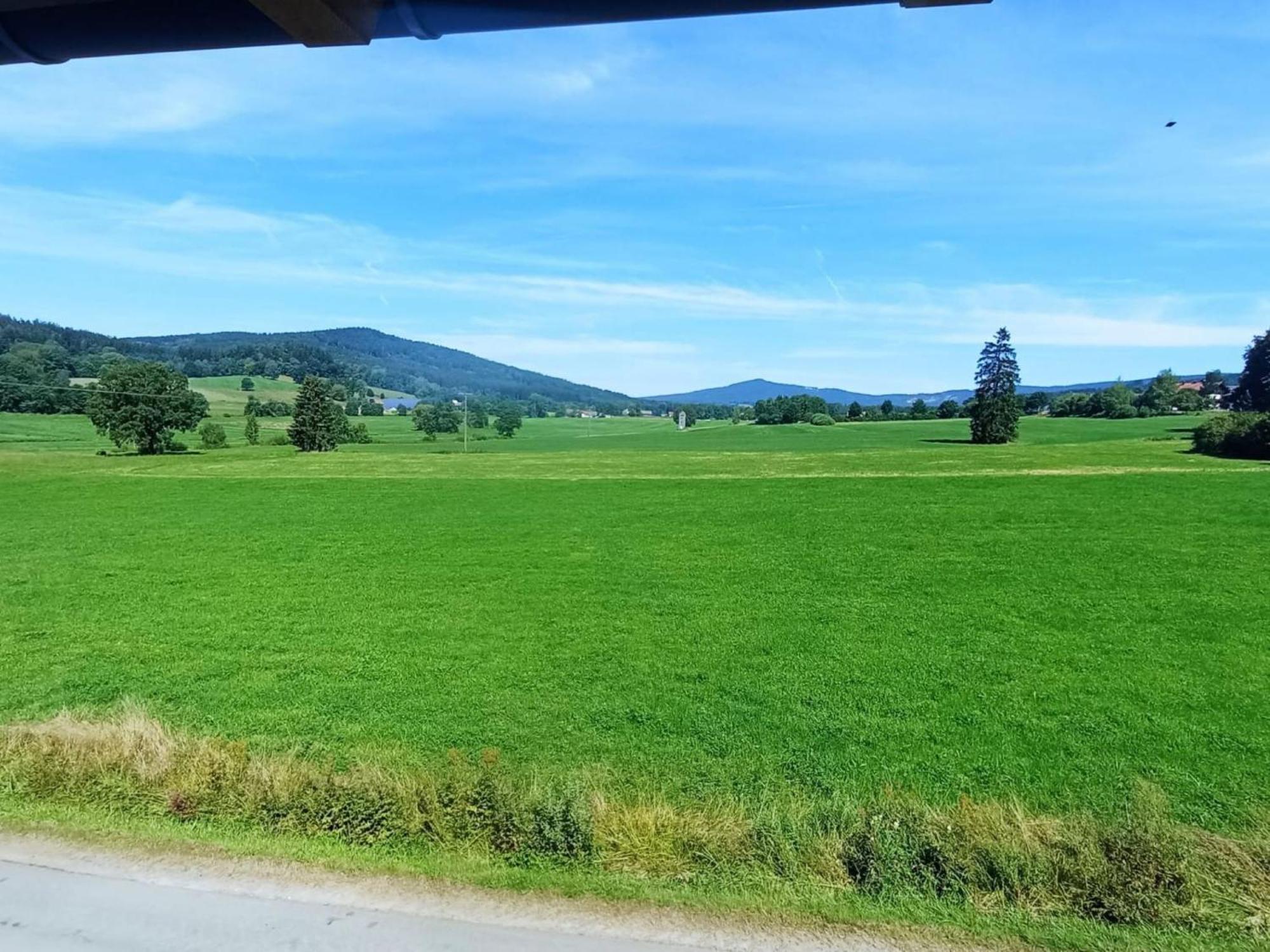 Fewo Wiesenblick Waldmünchen Esterno foto